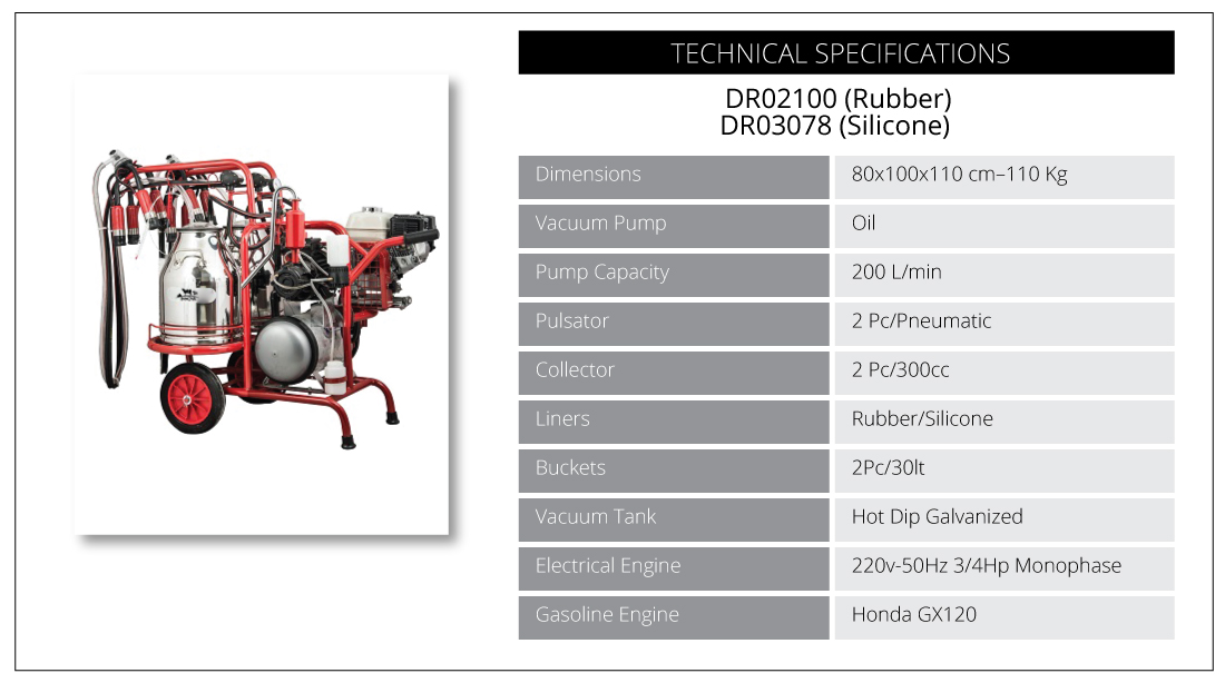 Gasoline Engine