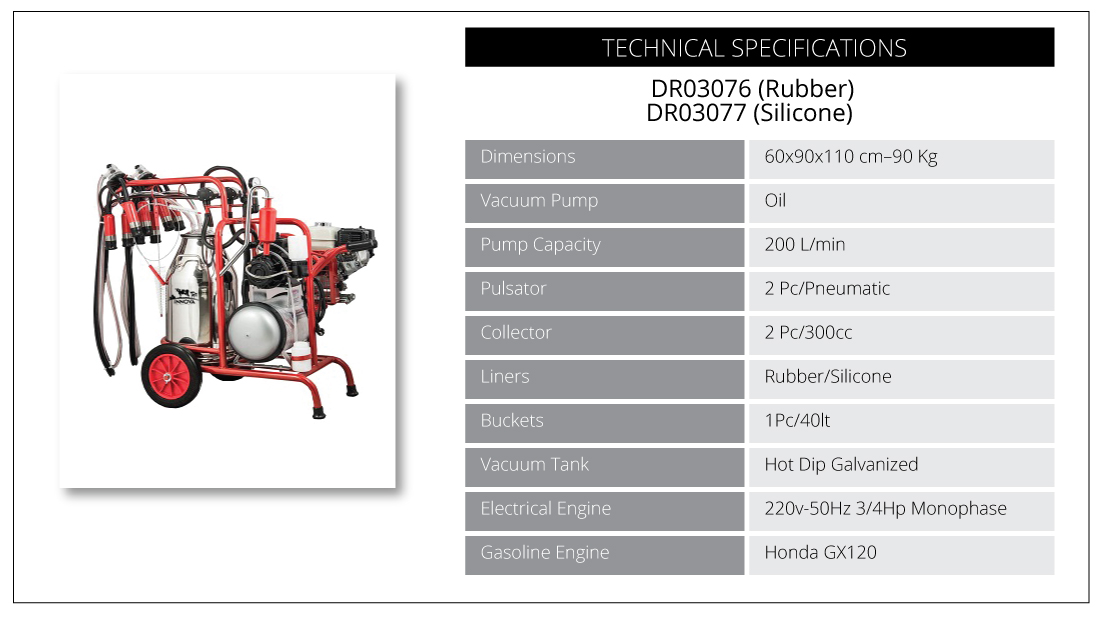 Gasoline Engine