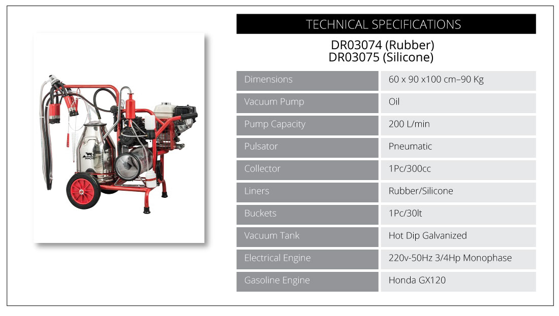 Gasoline Engine