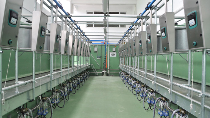 Milking Parlours