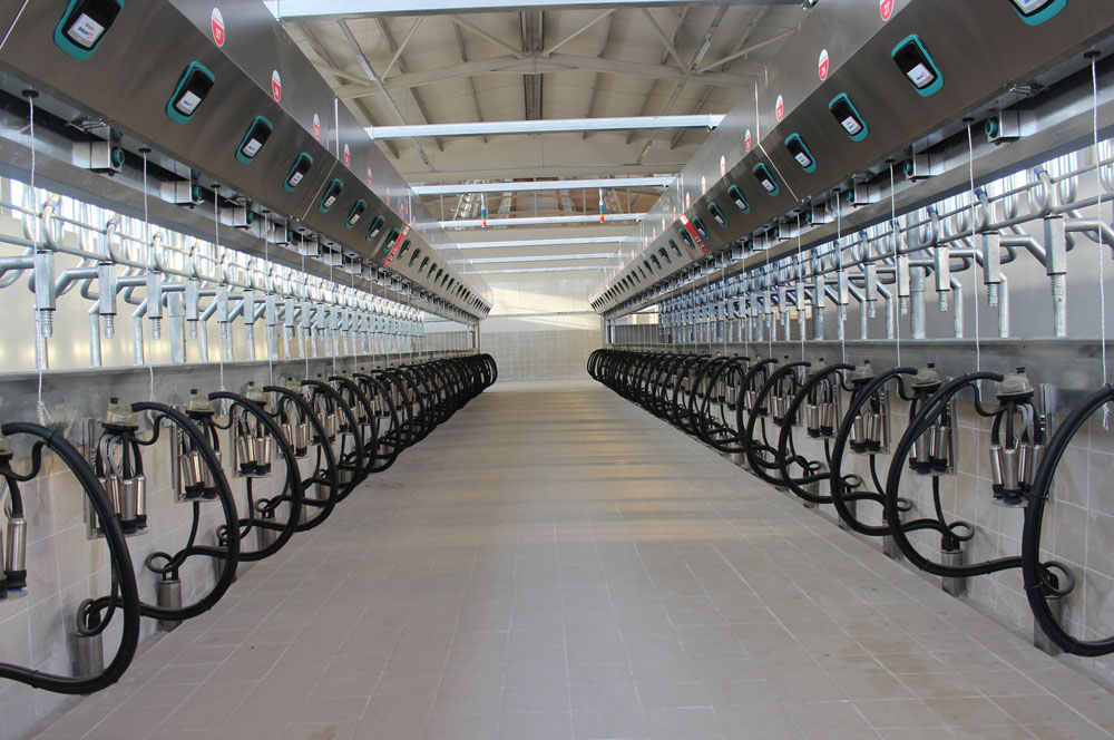 Parrallel Milking Parlour